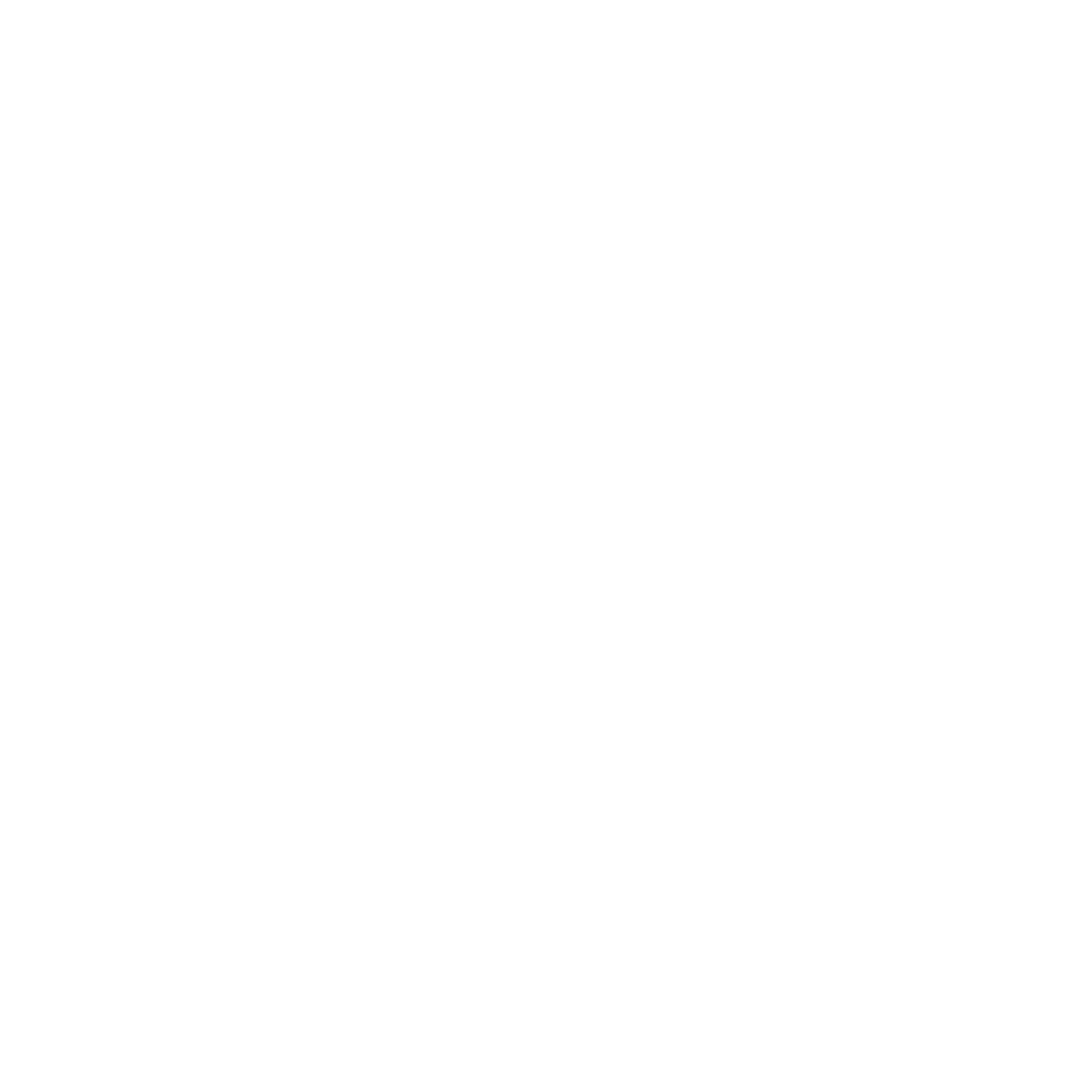 Work & Travel Organisation